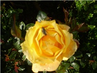 12a619ba-Picture 679.jpg